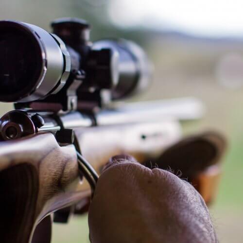 Rifle Shooting Brighton Stag